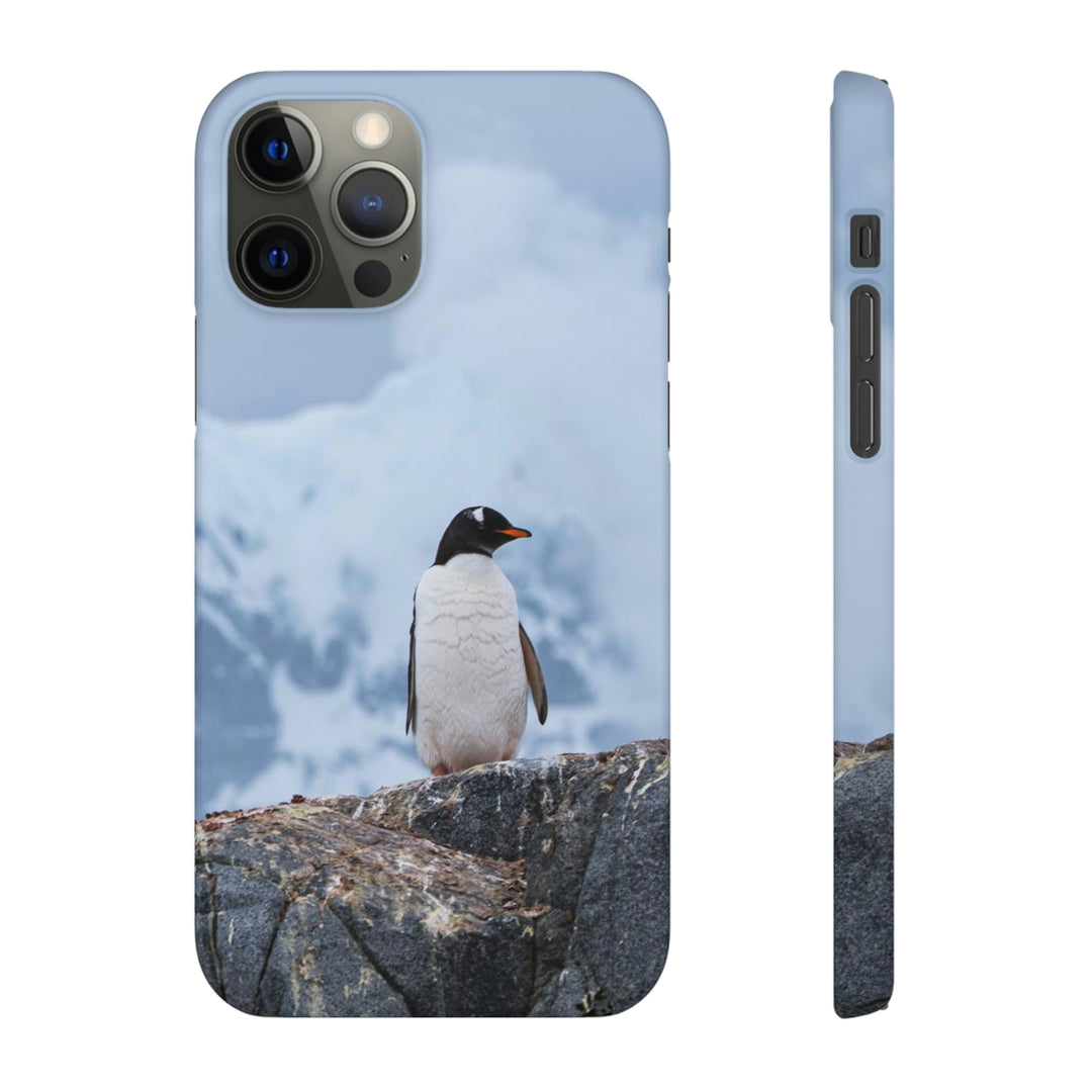 Poised Penguin - Phone Case