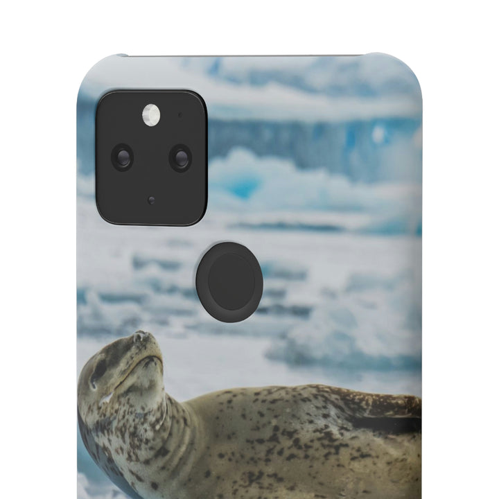 Leopard Seal Relaxing - Phone Case