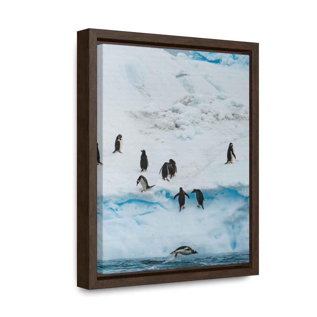 Porpoising Penguin - Canvas with Frame