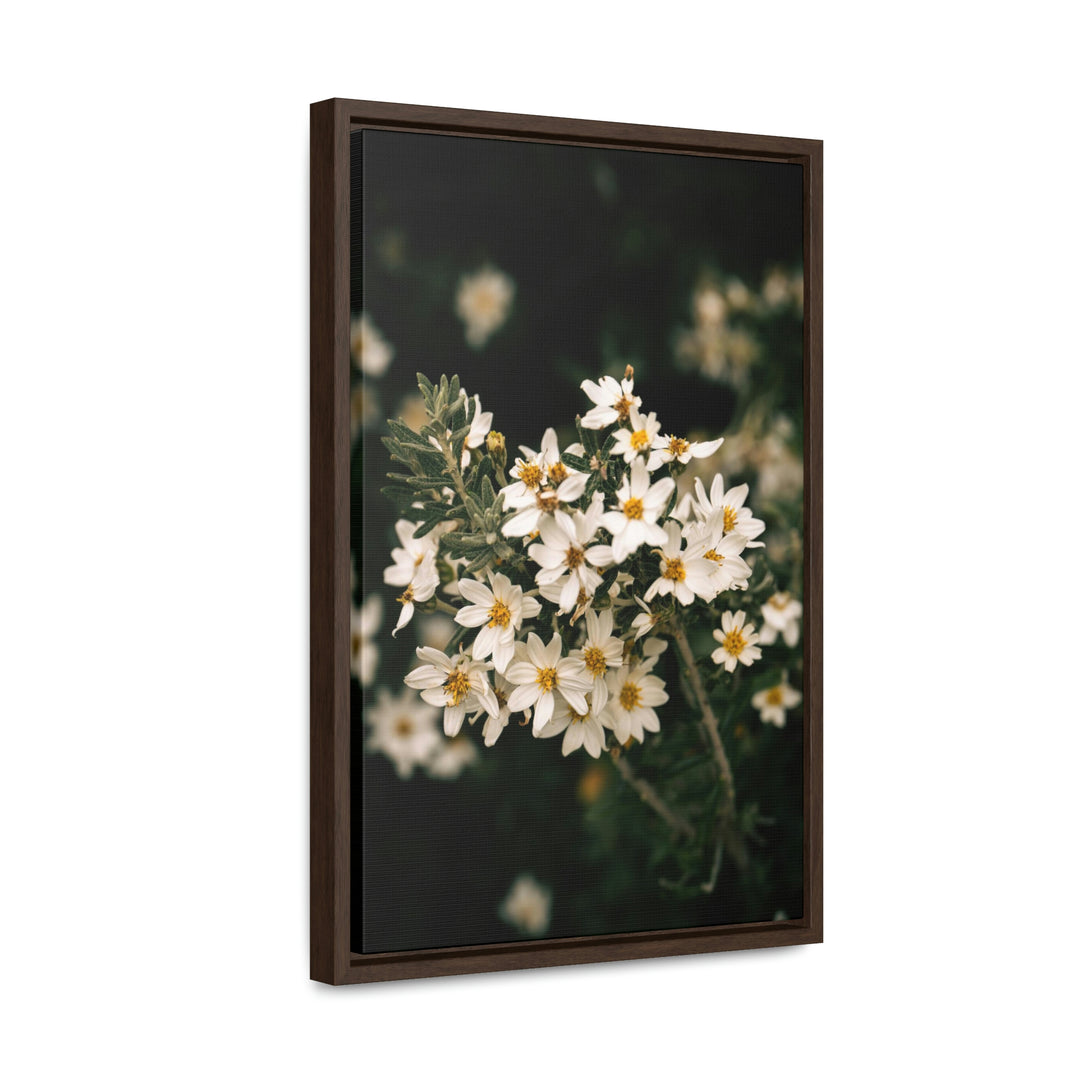 A Touch of White - Canvas with Frame