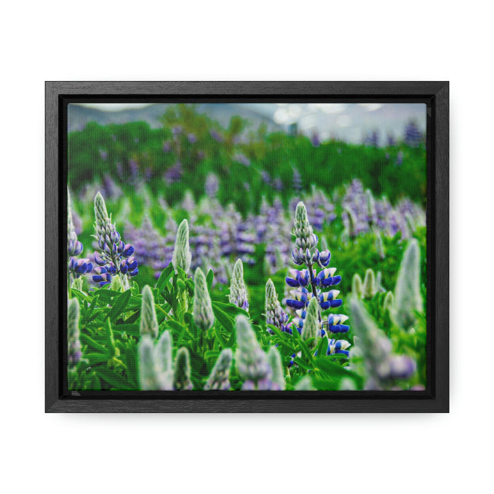 Glowing Lupin with Mountains - Canvas with Frame