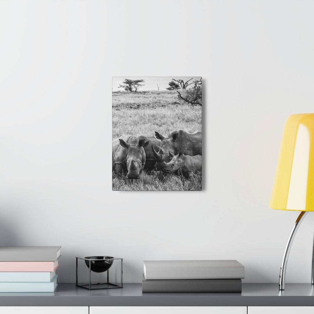 Rhino Family in Black and White - Canvas