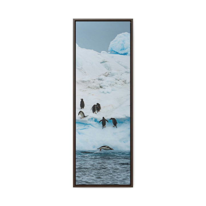 Porpoising Penguin - Canvas with Frame