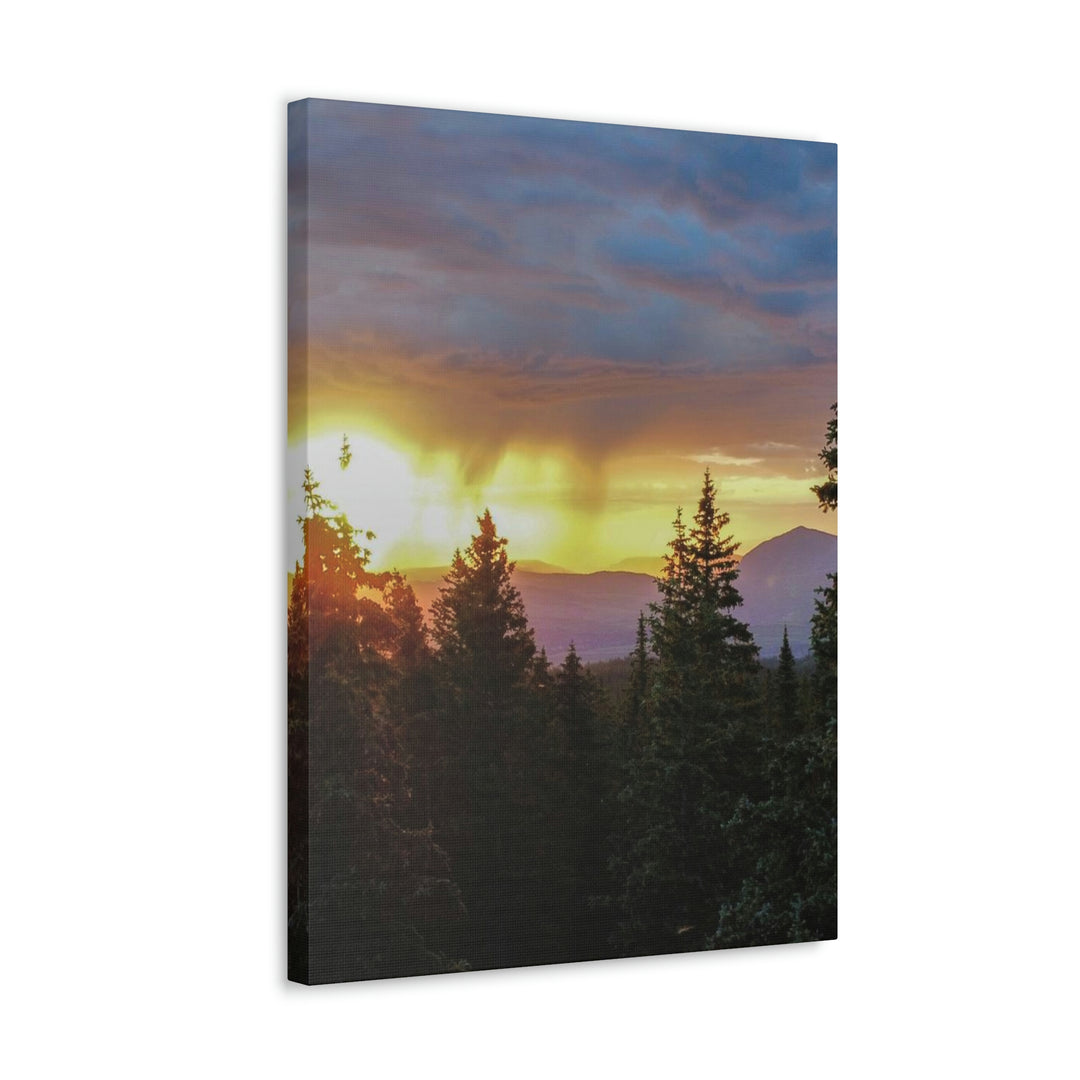 Rainy Sunset Through the Trees - Canvas