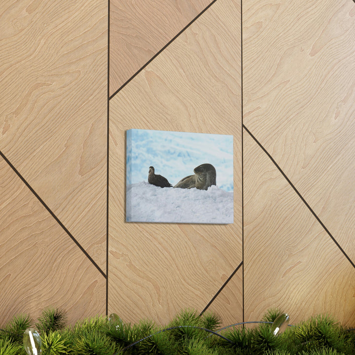 A Resting Pair - Canvas