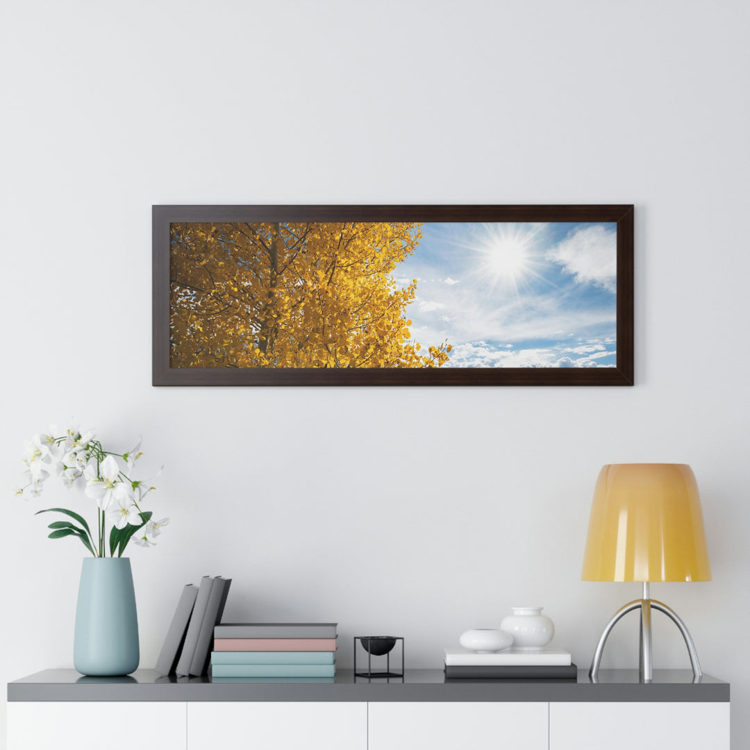 Golden Sunshine - Framed Print