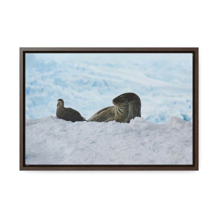 A Resting Pair - Canvas with Frame