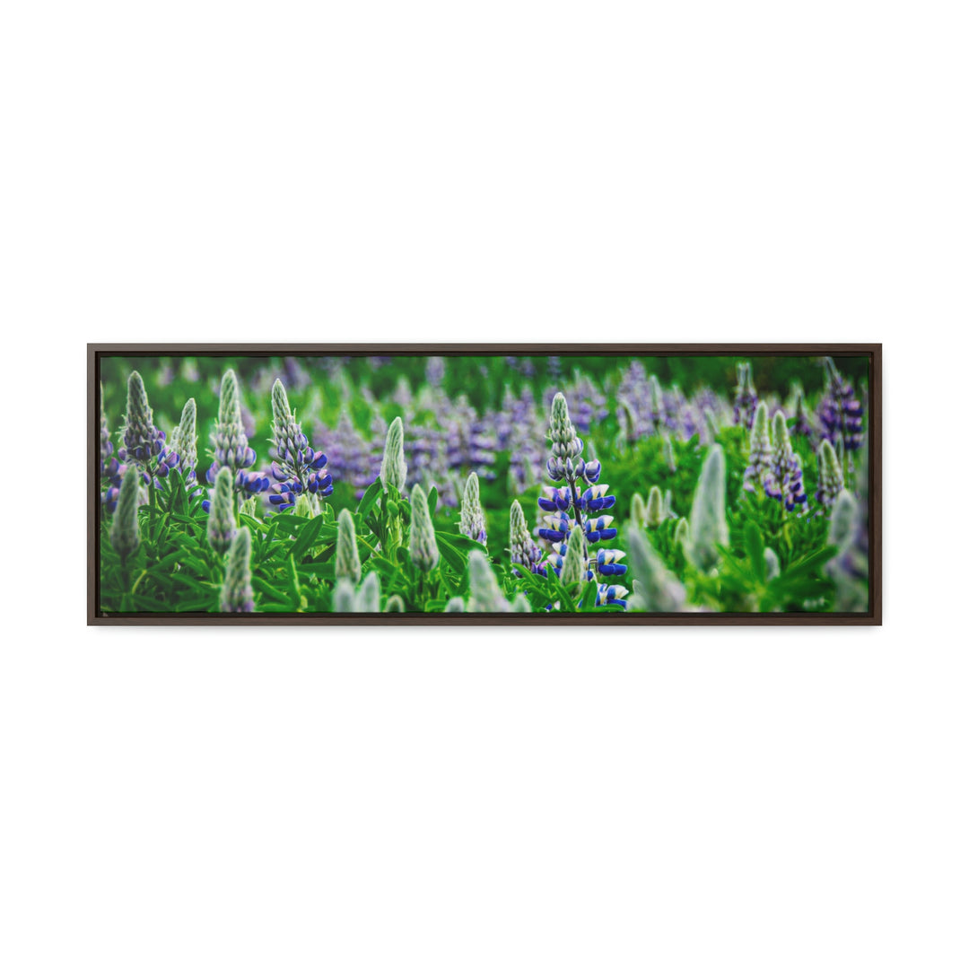 Glowing Lupin with Mountains - Canvas with Frame