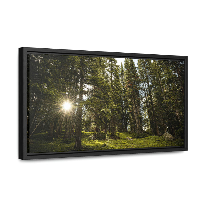 Forest Light - Canvas with Frame