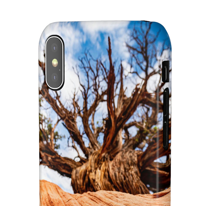 Desert Reach - Phone Case