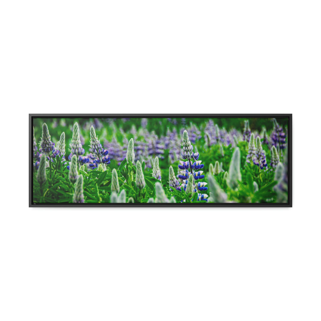 Glowing Lupin with Mountains - Canvas with Frame