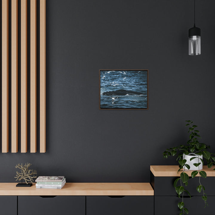 Humpback Hello - Canvas with Frame