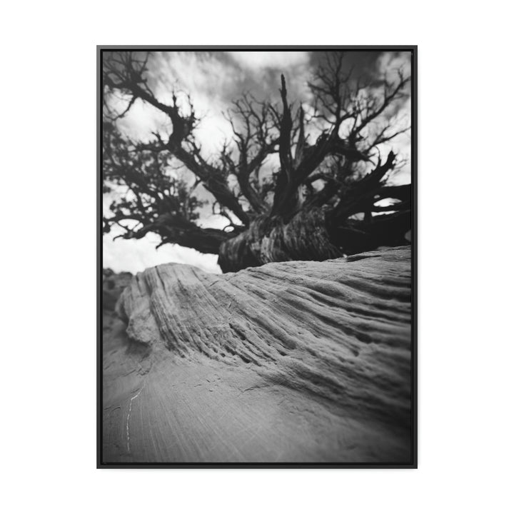 Desert Reach in Black and White - Canvas with Frame