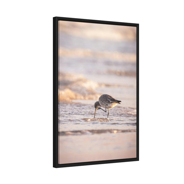 Willet Itch - Canvas with Frame