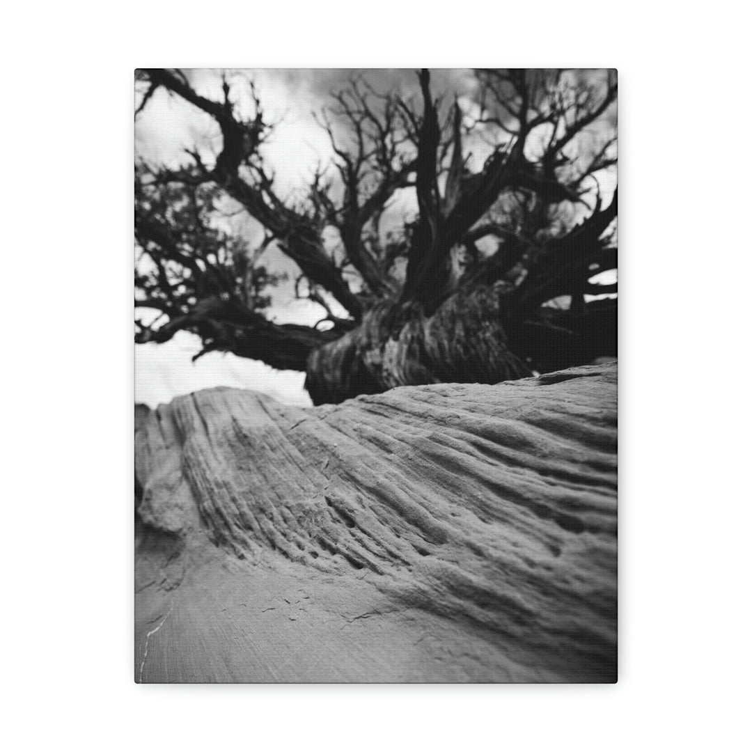 Desert Reach in Black and White - Canvas