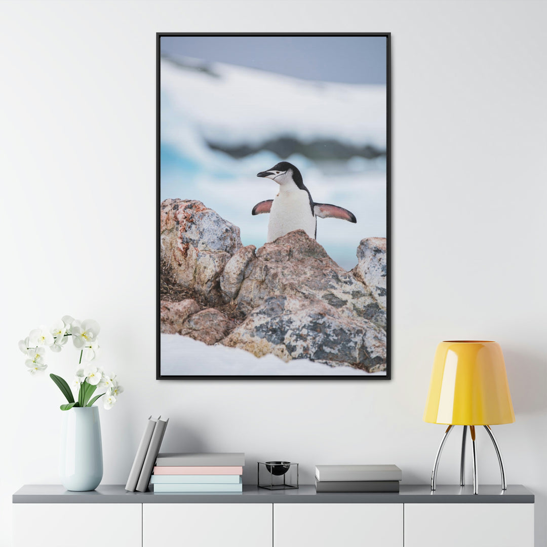 Stretched Penguin - Canvas with Frame