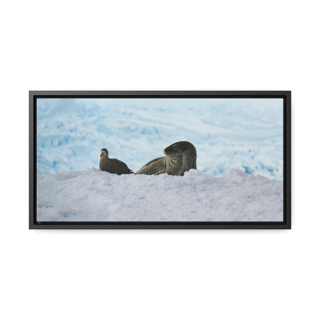 A Resting Pair - Canvas with Frame