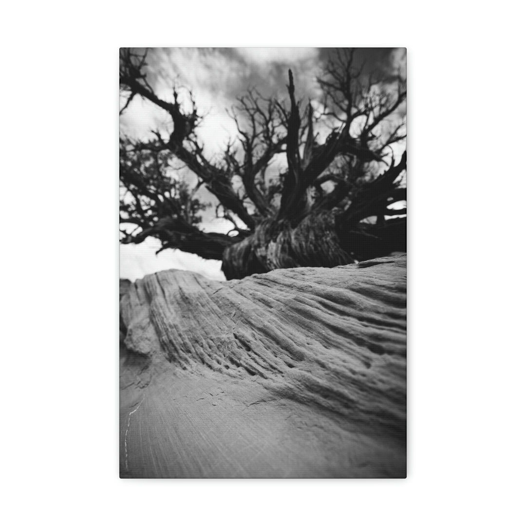 Desert Reach in Black and White - Canvas