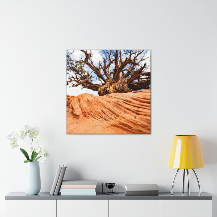 Desert Reach - Canvas