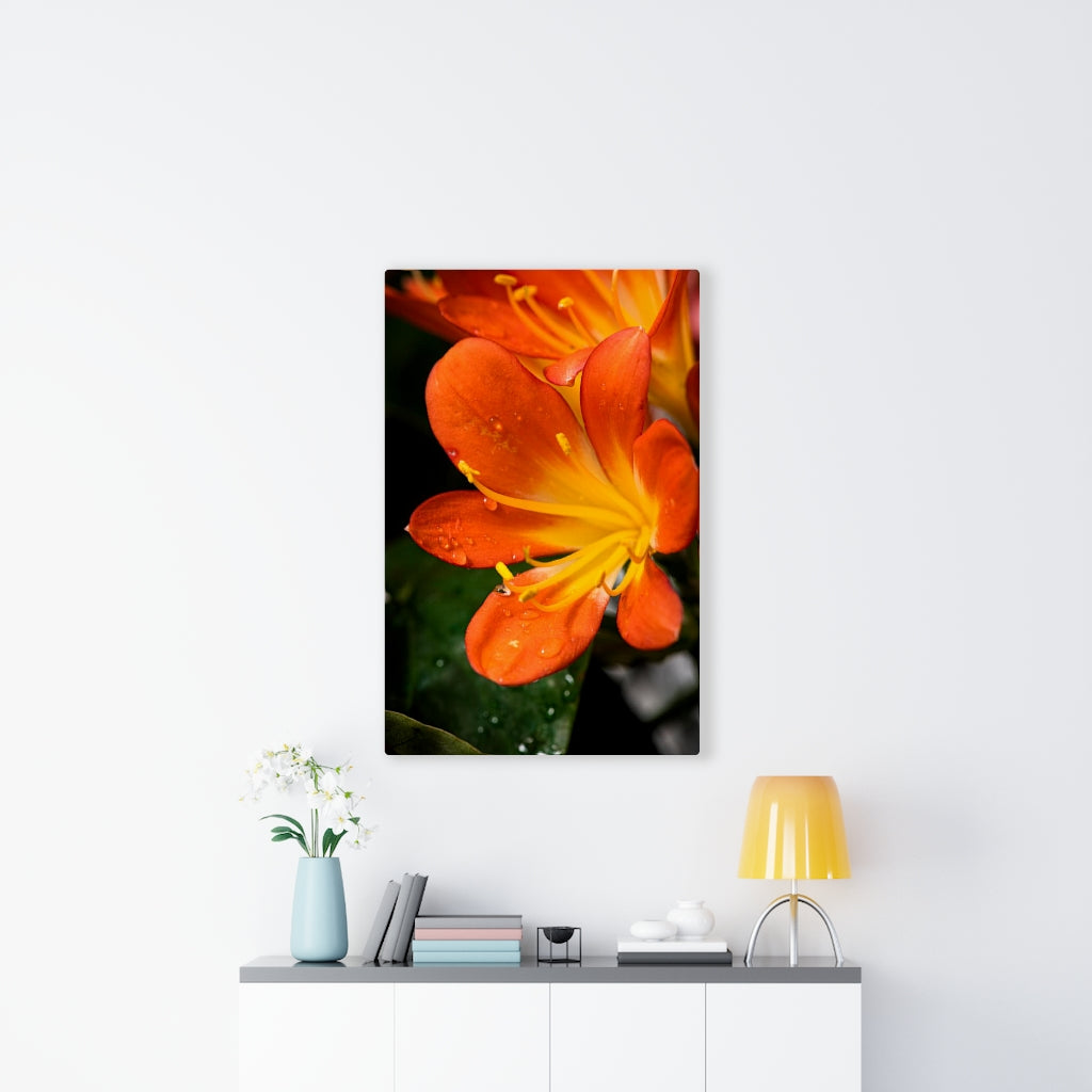 Bright Bush Lily - Canvas