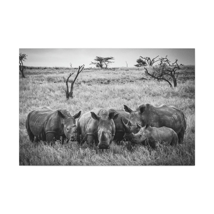 Rhino Family in Black and White - Canvas