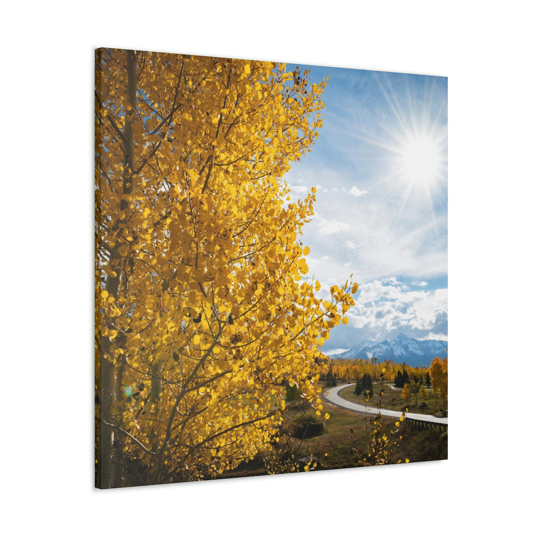 Golden Sunshine - Canvas