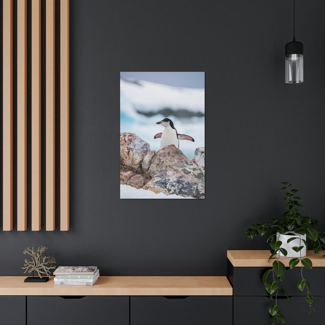 Stretched Penguin - Canvas