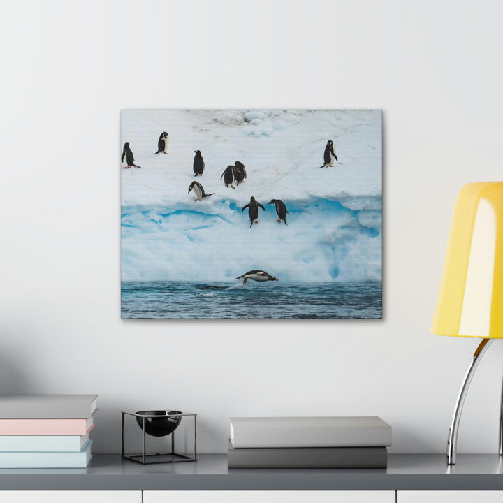 Porpoising Penguin - Canvas