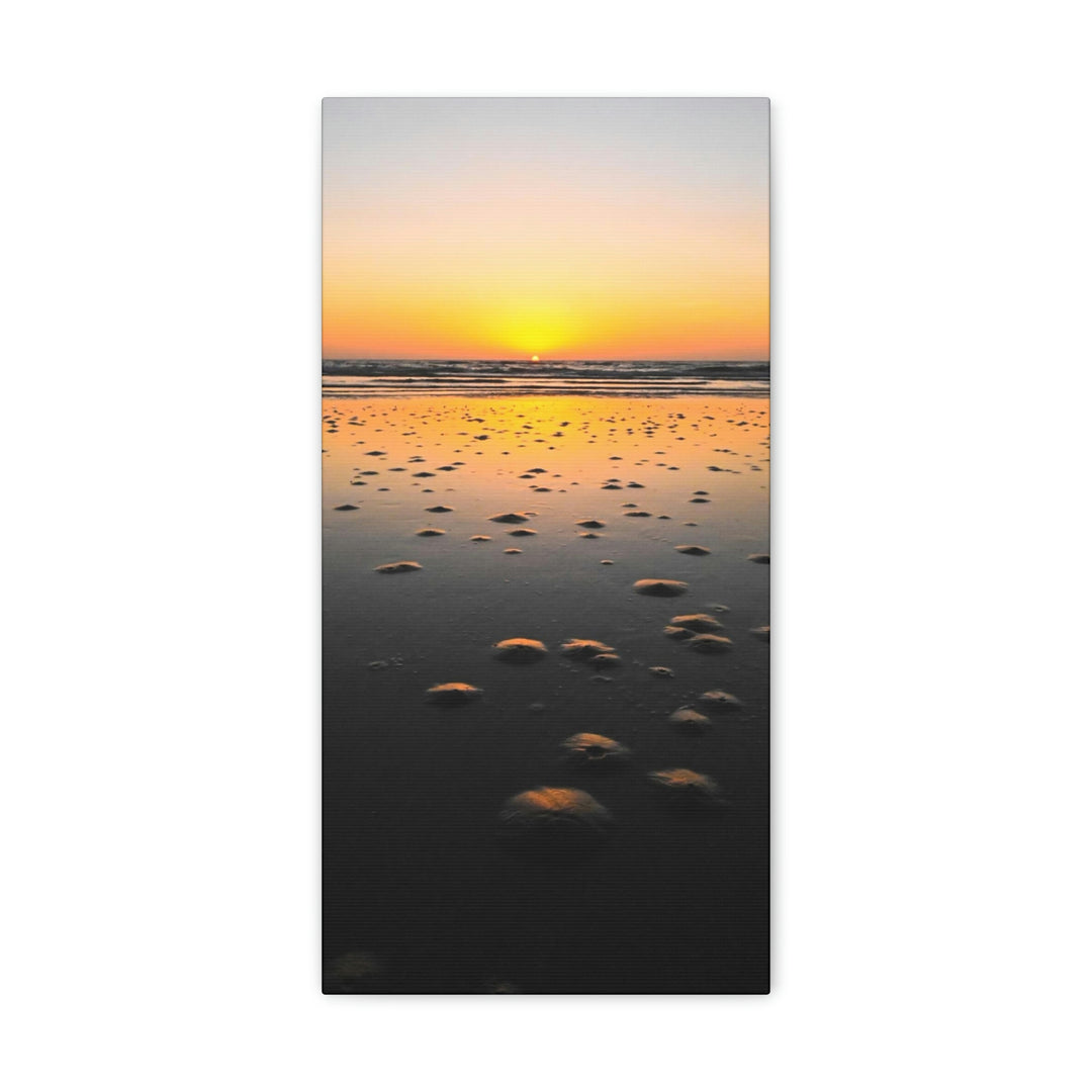 Burrows at Sunrise - Canvas