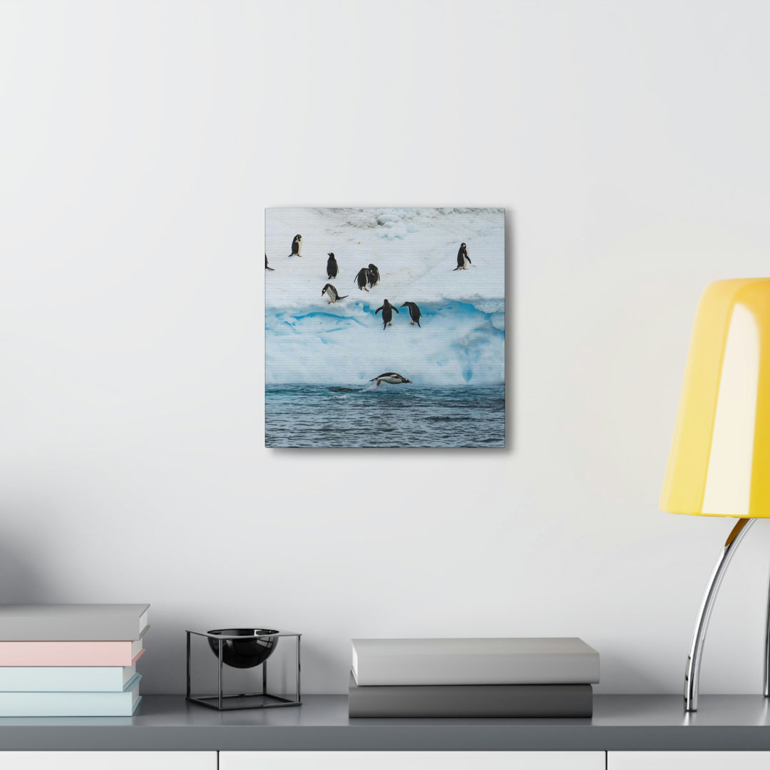 Porpoising Penguin - Canvas