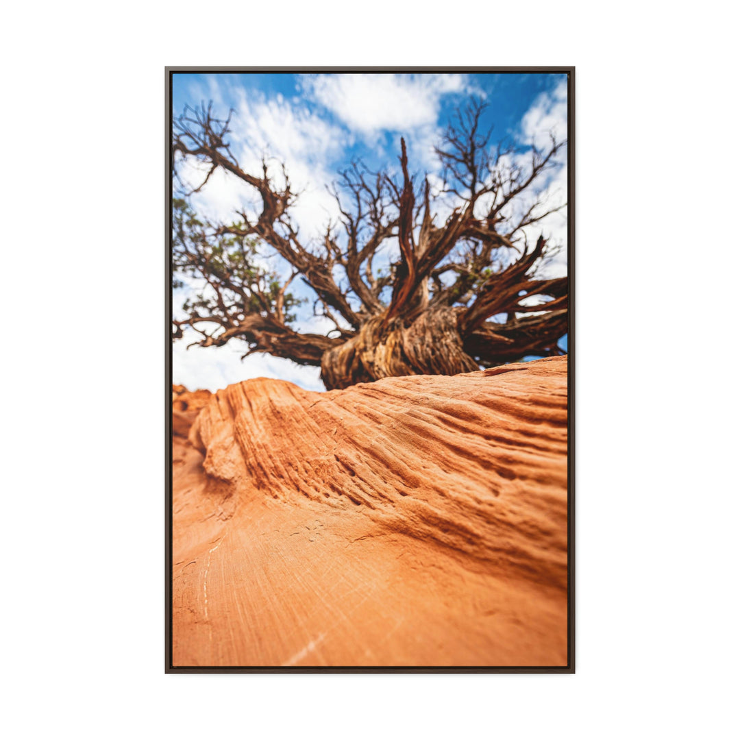 Desert Reach - Canvas with Frame