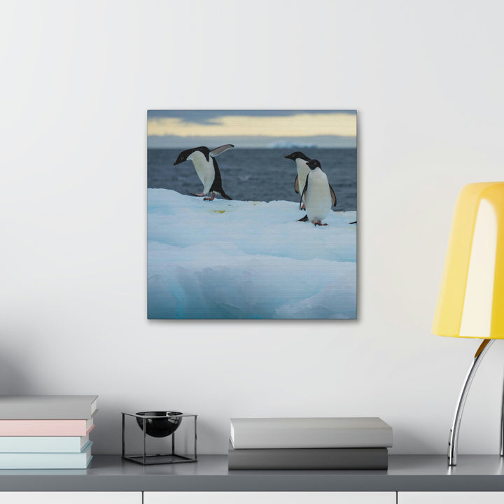 Penguin Dance - Canvas