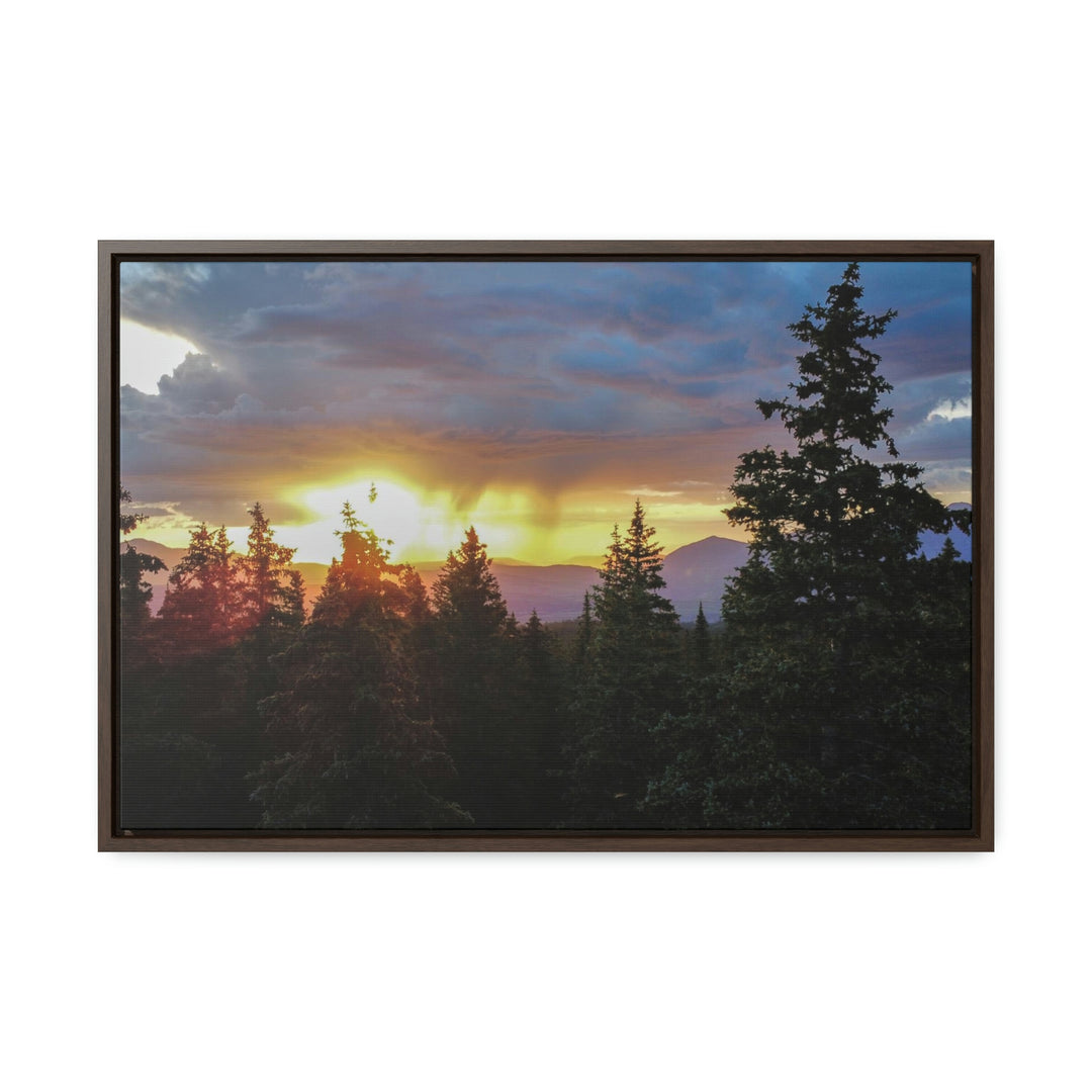 Rainy Sunset Through the Trees - Canvas with Frame