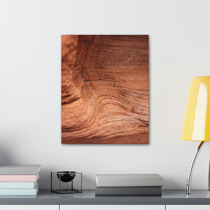 Sedimentary Rock Curves - Canvas