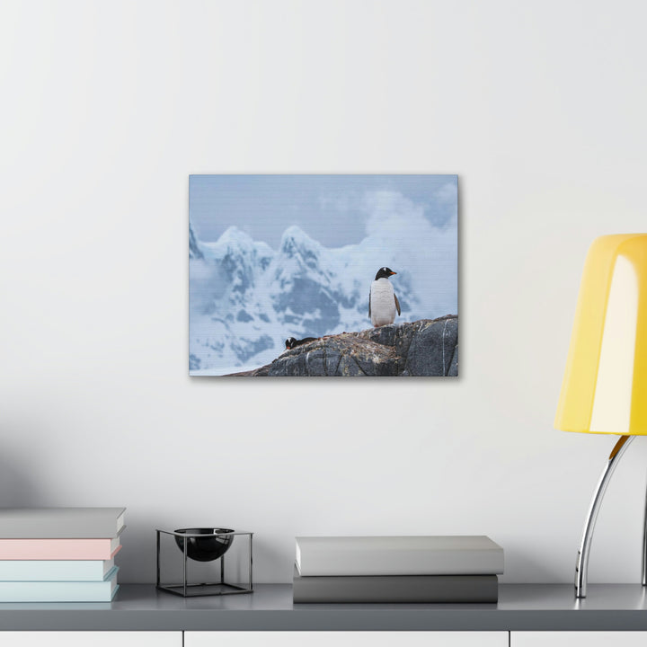 Poised Penguin - Canvas