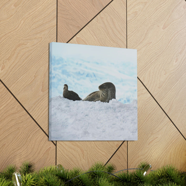 A Resting Pair - Canvas