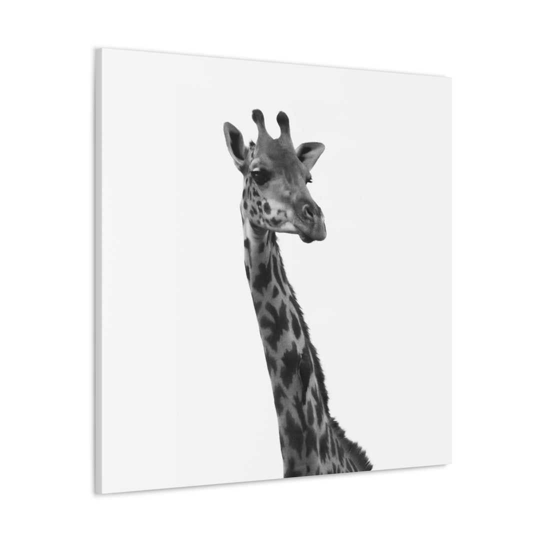 Giraffe Portrait in Black and White  - Canvas