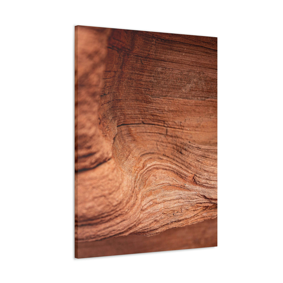 Sedimentary Rock Curves - Canvas