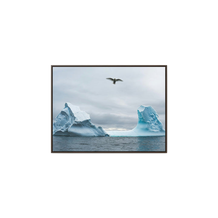 Antarctic Flight - Canvas with Frame