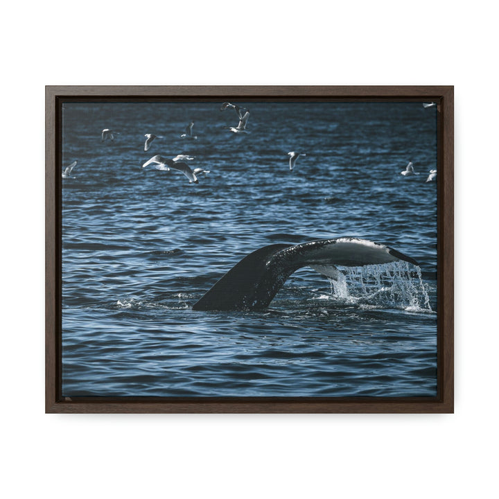 Feeding Tail - Canvas with Frame