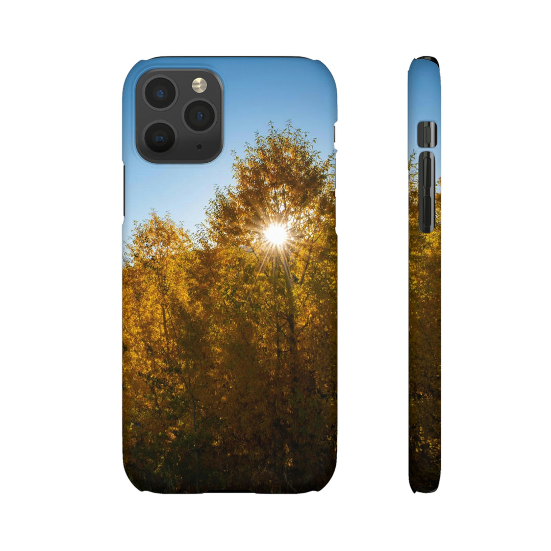 Sun Through the Aspens - Phone Case