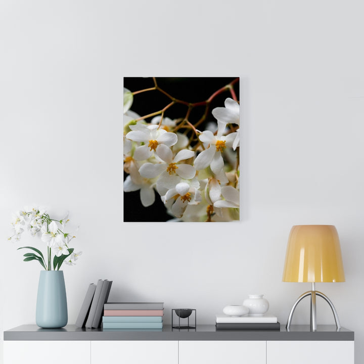 Floral Network - Canvas