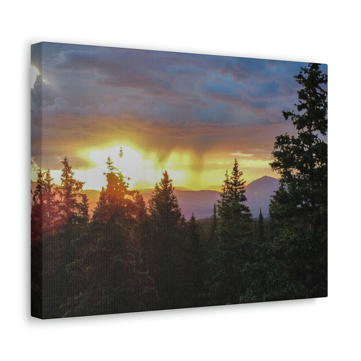 Rainy Sunset Through the Trees - Canvas