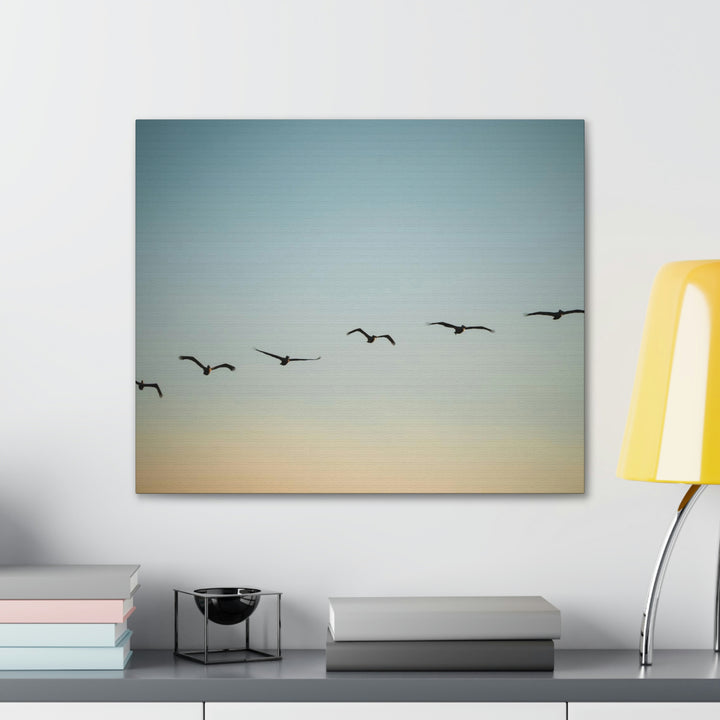 Brown Pelicans in Flight - Canvas