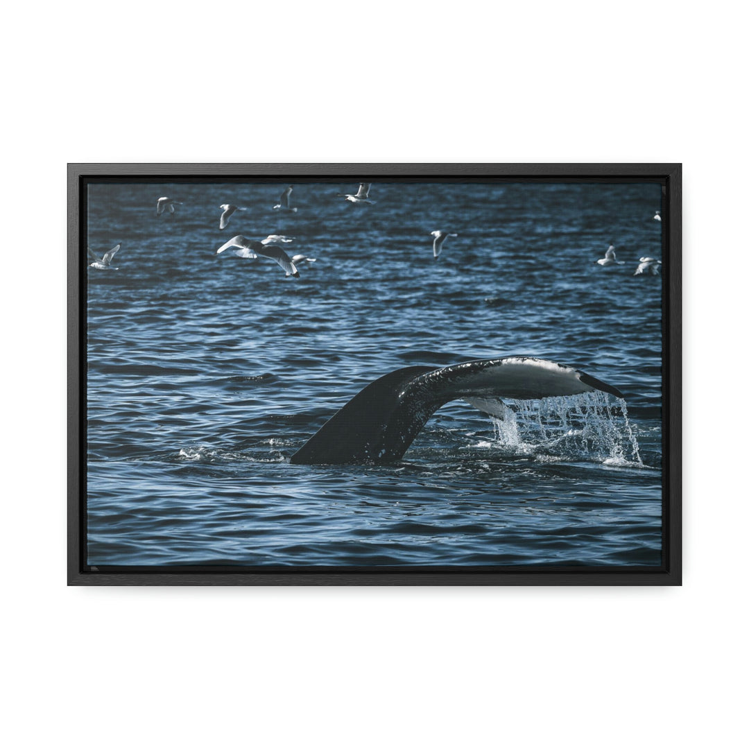 Feeding Tail - Canvas with Frame