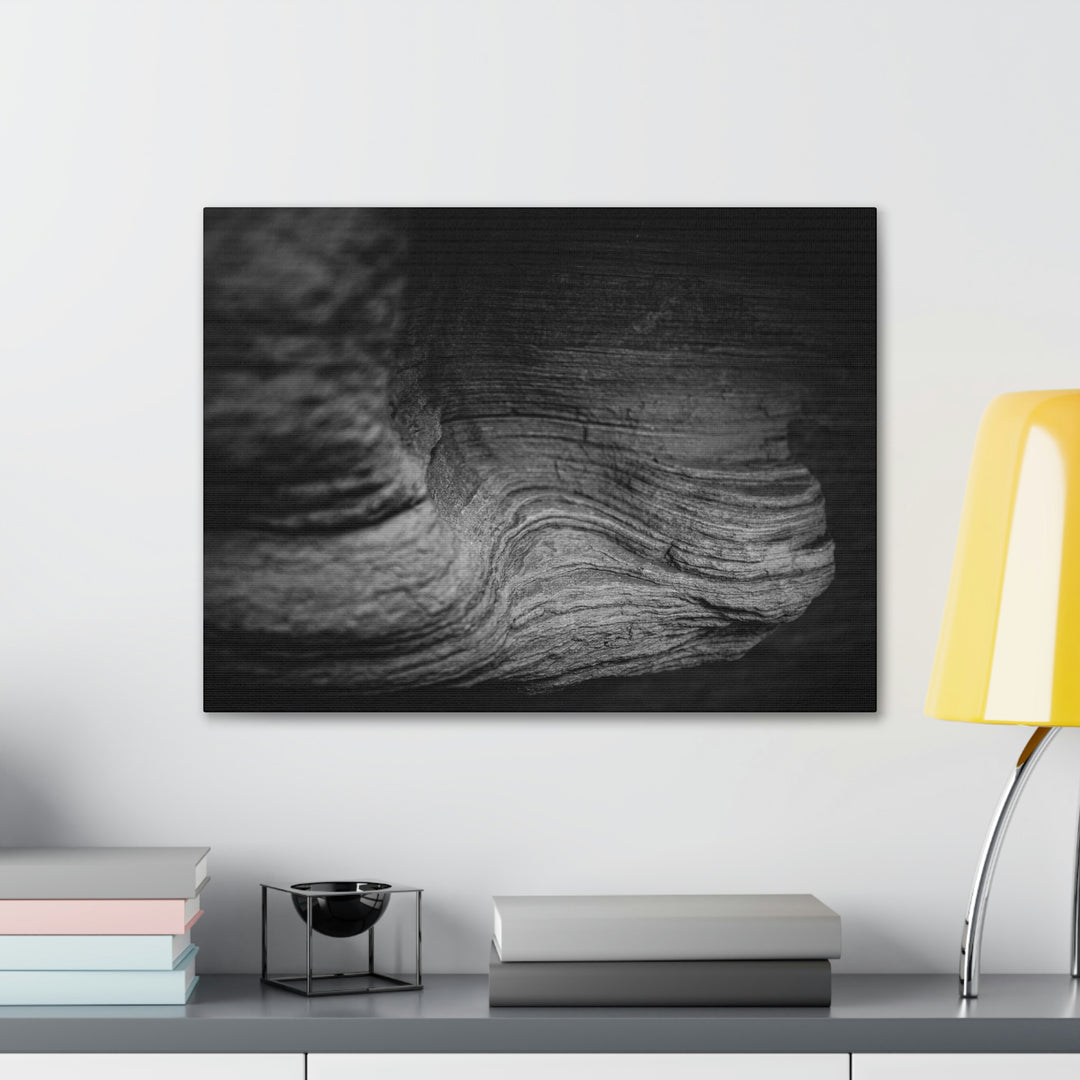 Sedimentary Rock Curves in Black and White - Canvas