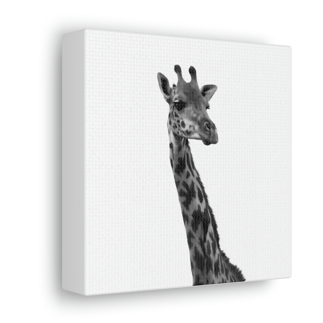 Giraffe Portrait in Black and White  - Canvas