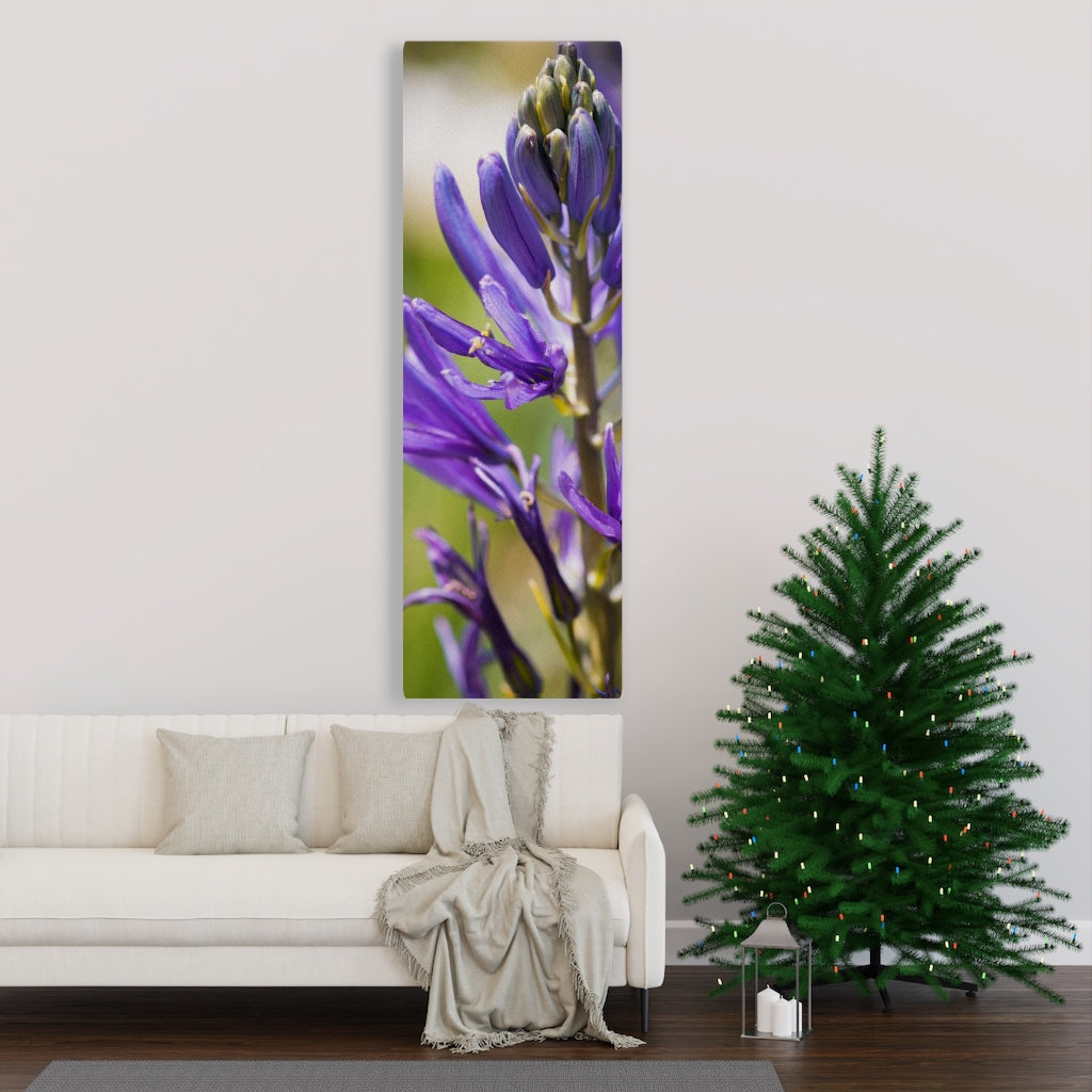 Camas in Bloom - Canvas