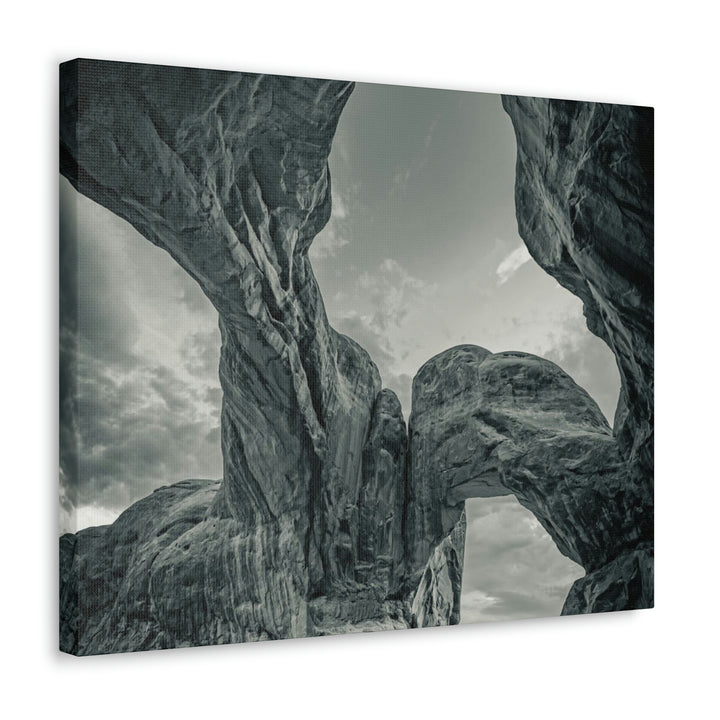 Natural Frames Part 1 in Black and White - Canvas