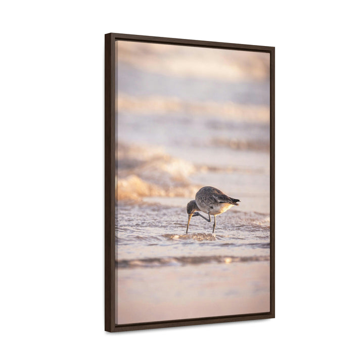 Willet Itch - Canvas with Frame